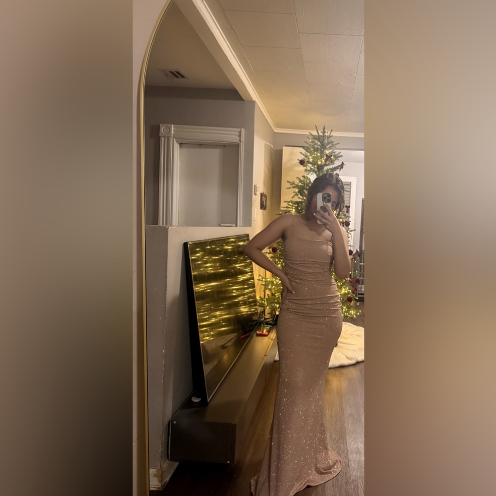 Windsor Glittering Beige Dress
